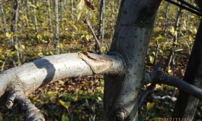 Zahraniční pobyt Německo, Švýcarsko, 13. - 16. 11. 2017