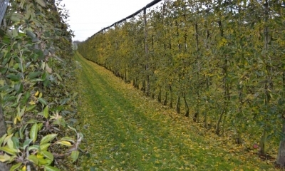 Zahraniční pobyt Německo, Švýcarsko, 13. - 16. 11. 2017